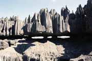 Grands Tsingy, Tsingy de Bemaraha National park. Madagascar.