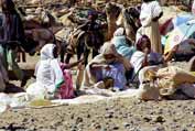 Market at Aksum. Ethiopia.