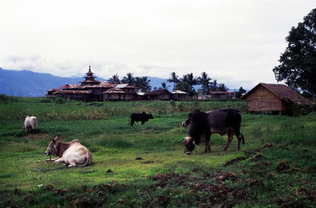 Inle lake area. Myanmar (Burma).