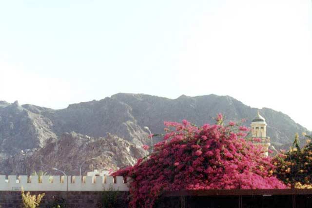 Muscat. Oman.