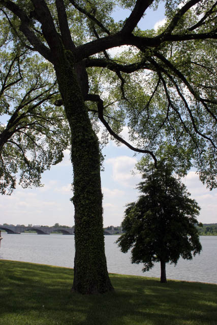 Washington DC. United States of America.