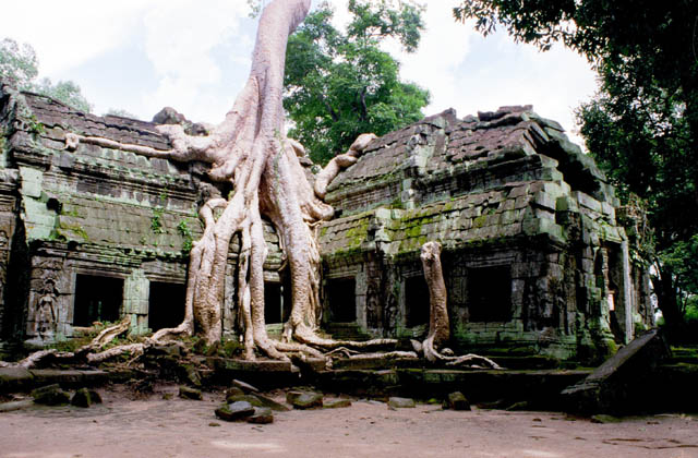 Ta Prohm - temple in jungle. Angkor Wat area. Cambodia.