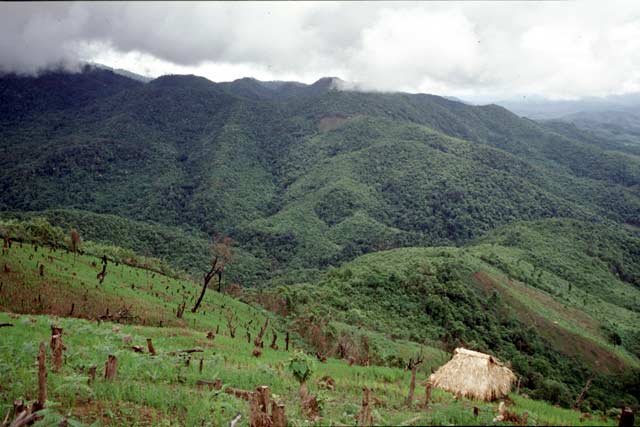 Around Muang Sing. Laos.