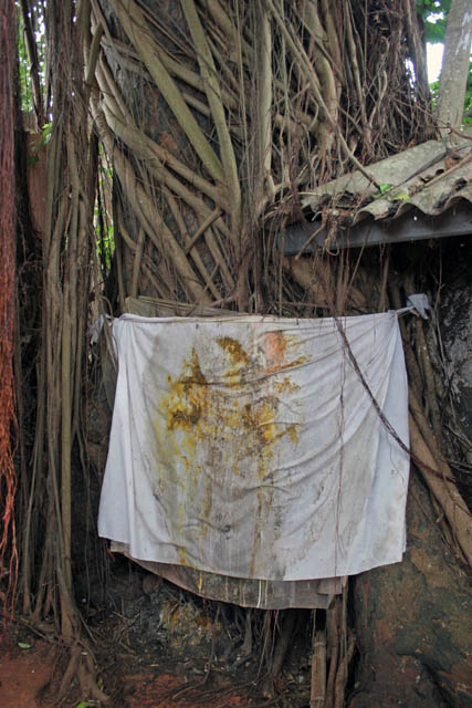 Voodoo talisman, Ouidah town. Benin.