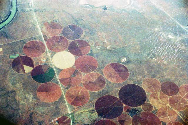 Fields around Johannesburg. South Africa.