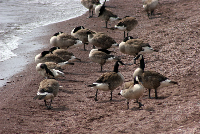 Grand Marais village, North Shore, Minnesota. United States of America.