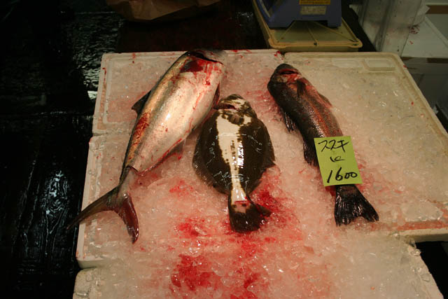 Tsukiji fish market, Tokyo. Japan.