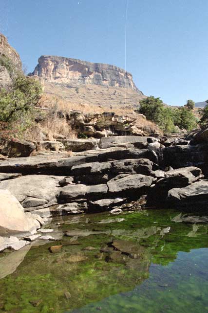 Royal Natal National park, Drakensberg. South Africa.
