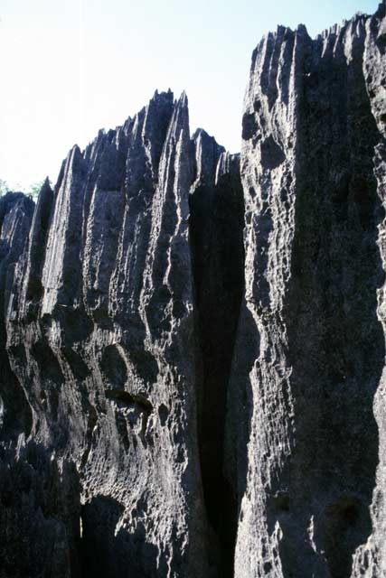 Grands Tsingy, Tsingy de Bemaraha National park. Madagascar.