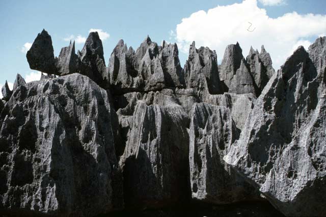 Grands Tsingy, Tsingy de Bemaraha National park. Madagascar.