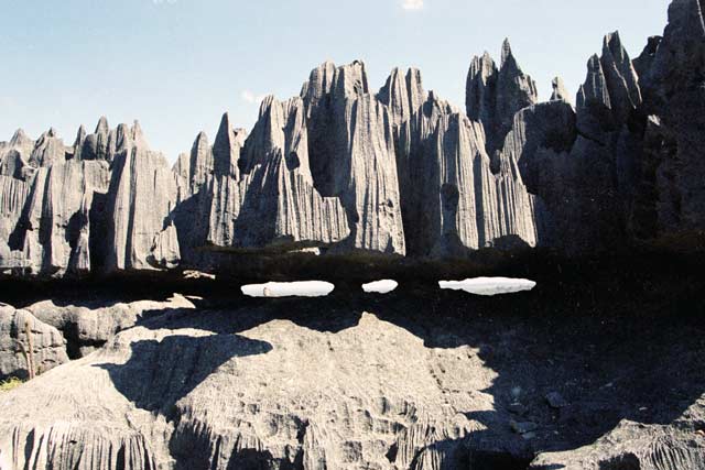 Grands Tsingy, Tsingy de Bemaraha National park. Madagascar.